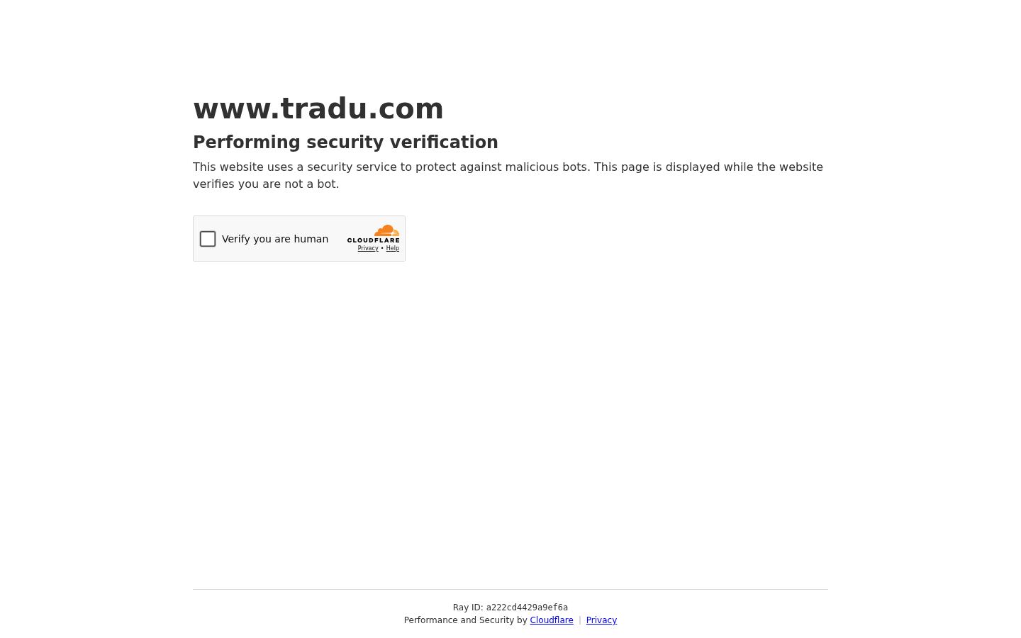 TRADU &middot; HOMEPAGE_SCREENSHOT