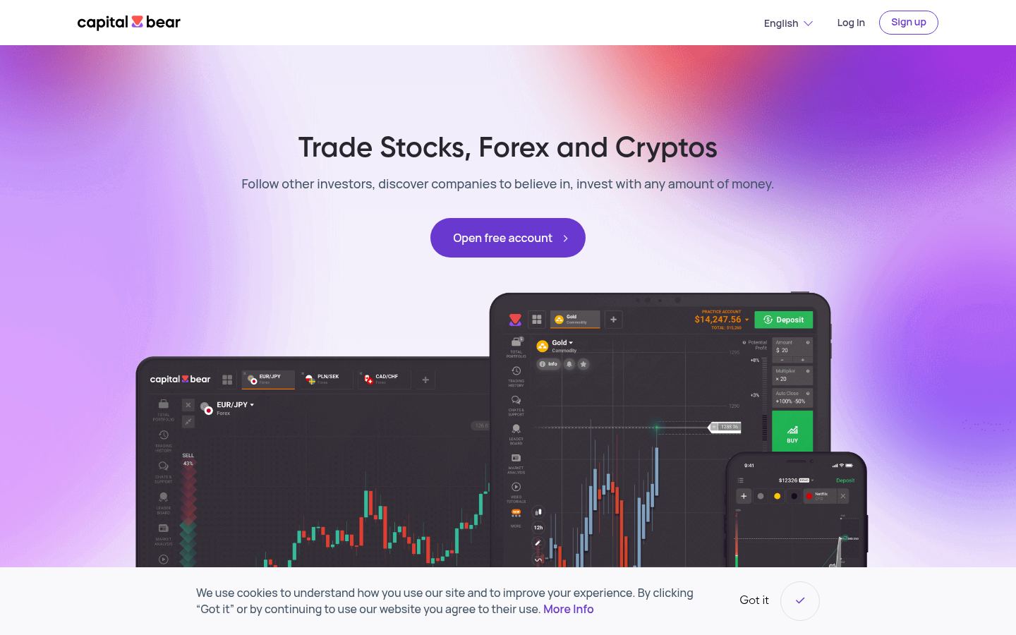 CapitalBear &middot; снимок главной страницы (HOMEPAGE_SCREENSHOT)